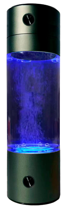 Hidrogenizator vode
